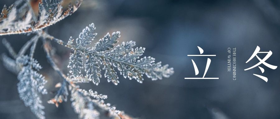 立冬 ▎朔風(fēng)始起，萬物境藏