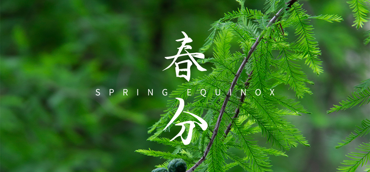 春分 ▎不負(fù)春光，萬(wàn)物生長(zhǎng)