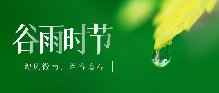 谷雨 ▎雨生百谷，鎖住一抹春色