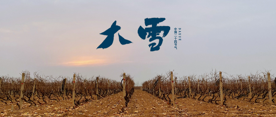 大雪 ▎世界留白，天地靜美