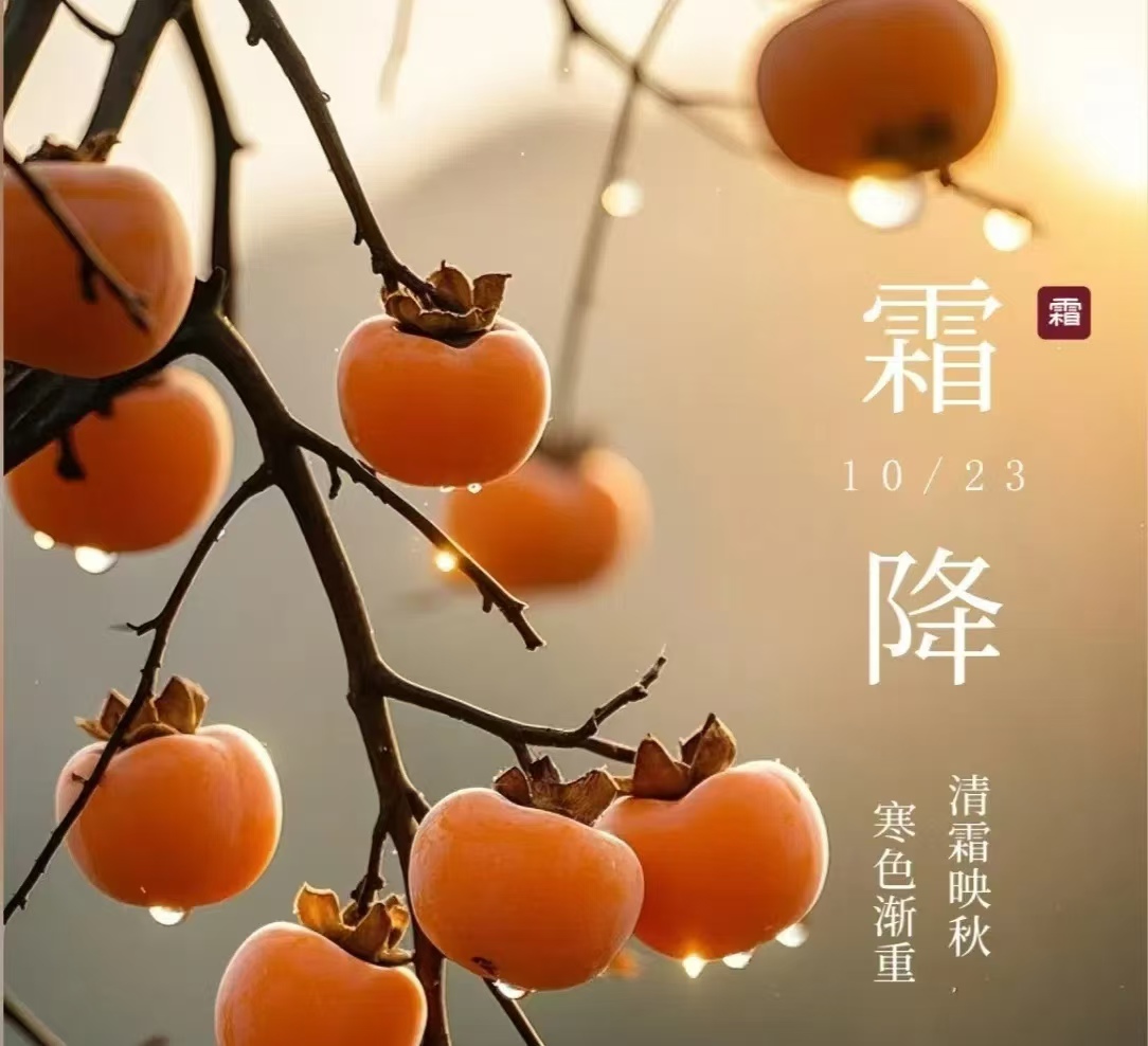 霜降||人間至此秋色盡，草木搖落露為霜